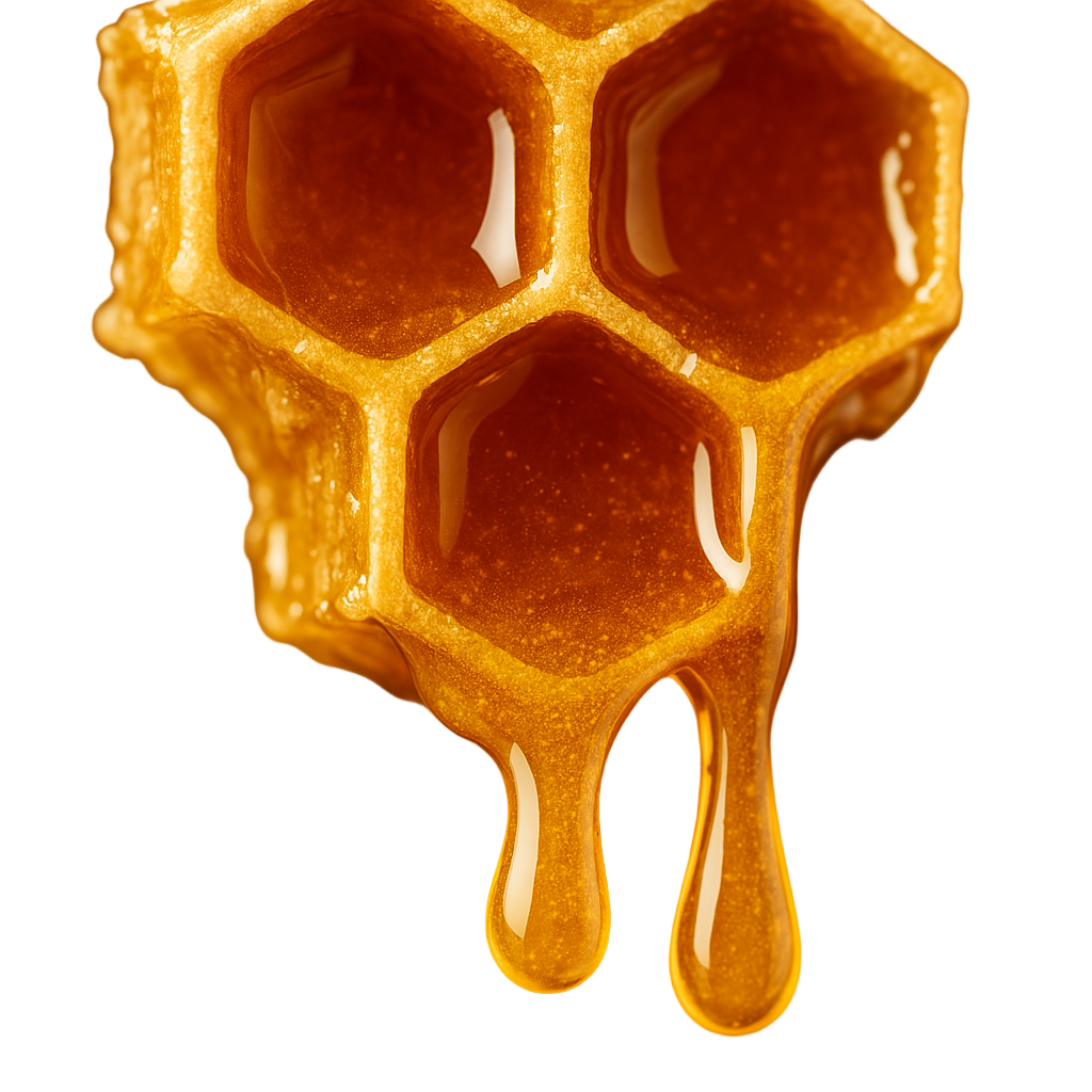Honeycomb with honey dripping on a white background